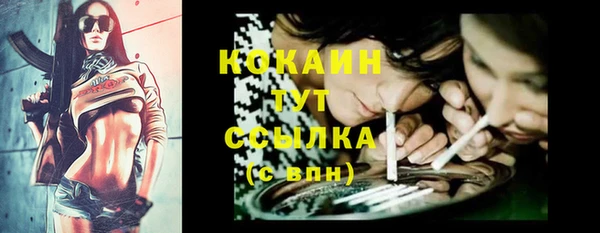 дурь Белокуриха