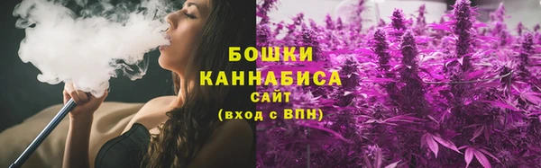 дурь Белокуриха