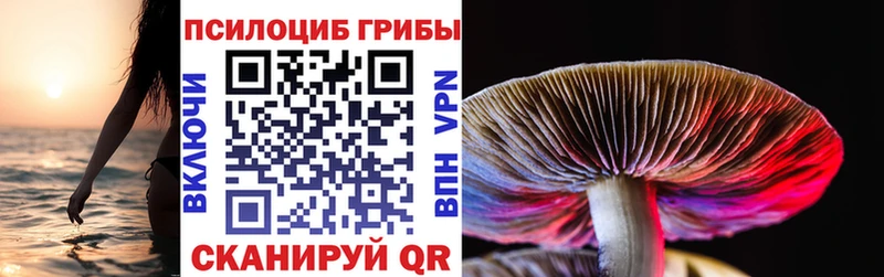 Купить  Макушино  Галлюциногенные грибы MAGIC MUSHROOMS 